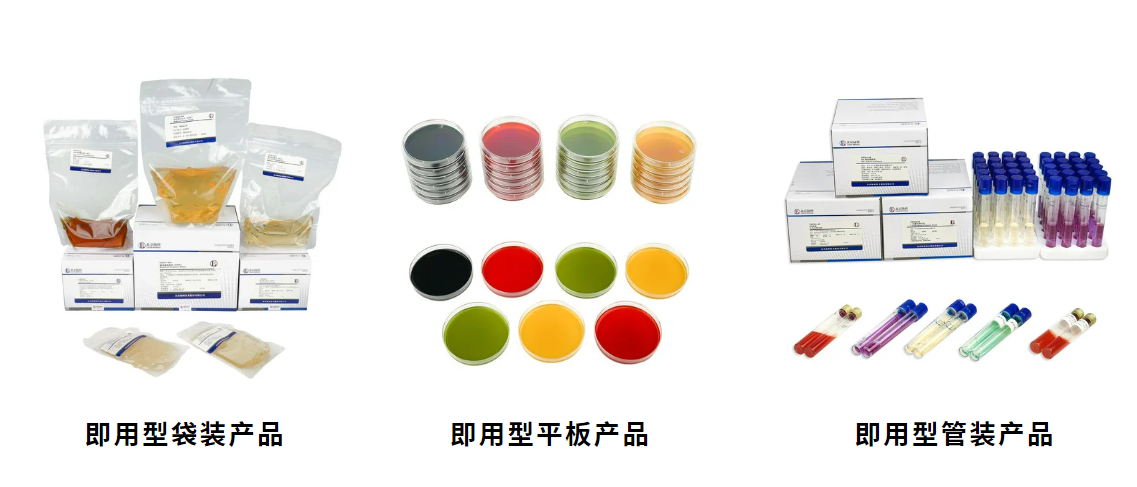北京陸橋邀請您參加第六屆食品微生物標準與技術(shù)應(yīng)用大會 （2025年5月·北京）